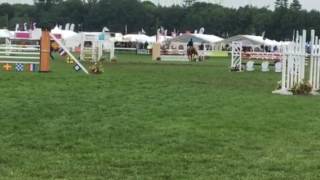 Atiya Bussey&Westwinds Ego, 5th in 1m20@Royal Norfolk Show