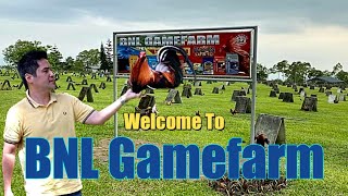 Lets Visit The Farm Of BNL Gamefarm