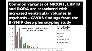 Increased ventricular volumes in psychosis - GWAS findings from the B-SNIP deep phenotyping study