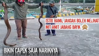 AKHIRNYA PENGHUNI DERMAGA KARANGGONGSO TRENGGALEK LANDED PAKAI TEKNIK HAND LINE,BIKIN MERINDING 😱