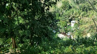 Exploring The Majestic River of Kidapawan City