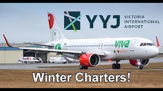 VivaAerobus Charter! HD Winter Morning Plane Spotting at YYJ Victoria International Airport