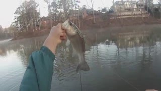 Georgia cranking and topwater