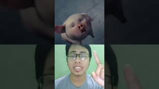 celengan babi yg tersesat dan mencari tuanya #shortsyoutube #alurceritafilm #shortvideo #shorts