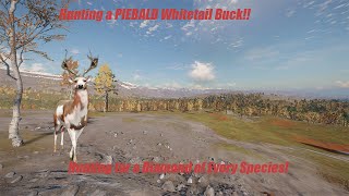 Hunting a PIEBALD Whitetail on Revontuli While After Lynx!!!