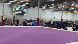 Level 7 Floor routine 9.125