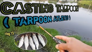 CASTING TARPOON ( Tarpoon Atletis ) Vlog.13