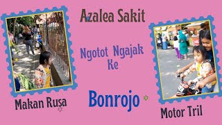 Azalea Sakit [[ Ngajak Makan Rusa ]] di Bonrojo