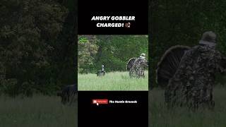 Angry Gobbler coming in hot! 🔥 Full video on our Channel.  #turkeyhunting #turkeytour #turkeyseason