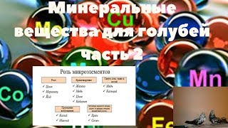 Минеральные вещества для голубей часть 2