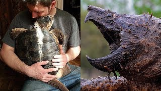 14 Most Dangerous Pets