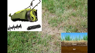 DIY: Lawn Overseeding With Scarifier & Dethatcher