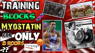 WHY MAXIMUM MYOSTATIN BLOCKING ONLY LASTS 8 HOURS? NATURALS MUST TRAIN FREQUENTLY!🧬MYOSTATIN MONDAY🧬