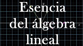 Fundamentos del Álgebra Lineal | Esencia del álgebra lineal, reseña