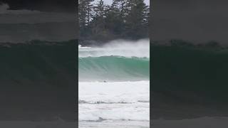 Tofino Surfers In Solid Winter Swell At A Local Beach