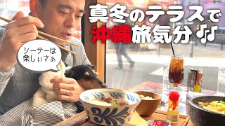 【犬連れ沖縄ランチ】寒さの中PAIKAJI TERRACE(パイカジテラス)さんのぽかぽかテラス席で沖縄料理ランチしてきたよ～🐕🐕🐾東京都立川市 ペットショップの売れ残りと元保護犬とお出かけ