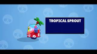 Buying New Skin Tropical Sprout Brawl Stars