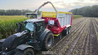 Mais Silage 2023 | Loonbedrijf Westerveld  | Onno Bruins bosbouw & agro | @SvenDL650