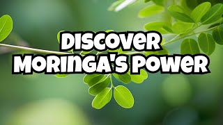 Unleashing the Power of Moringa: The Health Revolution You Need