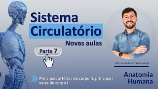 ANATOMIA DO SISTEMA CIRCULATÓRIO - PARTE 7  - PRINC. ARTÉRIAS DO CORPO II (NOVAS AULAS)