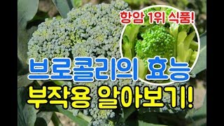 항암식품 1위 브로콜리의 효능 부작용! the efficacy of broccoli