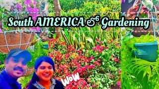 SouthAMERICA లో Gardening|Gardening in South America Colombia Barranquilla #vellankivlogs #gardening