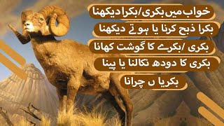 Khwab Mein Bakra Dekhna (بکرا) Ki Tabeer in Urdu