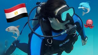 SCUBA DIVING Egypt Red Sea Trailer HD 1080p 2018 مناظر خلابه - الغوص في البحر الاحمر - جوده عاليه