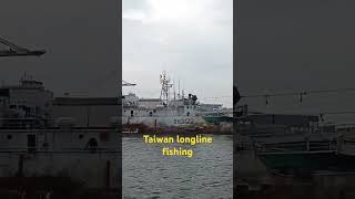 THE TAIWAN LONGLINE FISHING #buhaymandaragat #seafood