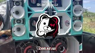 OS PROFISSIONAIS | LN NO BEAT 2024 EM ALTA QUALIDADE @carlaoxqzz