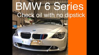 BMW dash oil level check