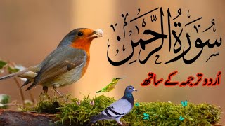 SURAH RAHMAN TARJUMA K SATH | BY QARI Al SHAIKH MUHAMMAD | QURAN TILAWAT  BEAUTIFUL VOICE | EP 170