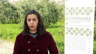 LIVINGAGRO field trial concerning the effect of soil management practices in Lebanese olive groves