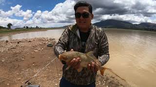 PESCANDO CARPAS EN LA ANGOSTURA COCHABAMBA