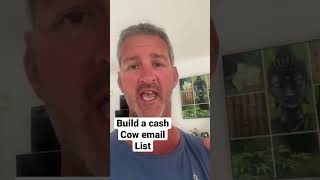 Build a cash cow email list