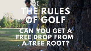 Golf Rules: Can You Get a Free Drop if Your Golf Ball is on a Tree Root?