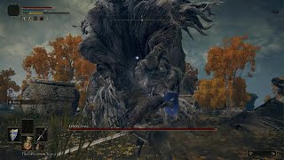 ELDEN RING_Slaying a Tree beeitch