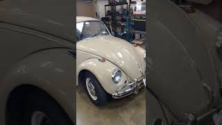 1967 Savannah beige VW Beetle Bug Comes to Shop For Sale!