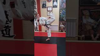 Специальное упражнение в каратэ-brazilian Mawashi geri kick. #shinkyokushin #braziliankick