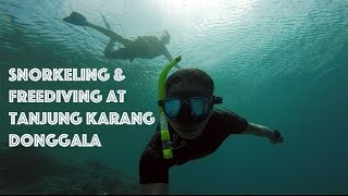 INDONESIA: Snorkeling and Freediving at Tanjung Karang Donggala