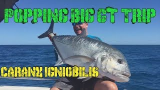 Caranx Igniobilis !!! Quand Tu Nous Prends !!! Du Fil !!! Popping Gt Trip.WOW..!!!