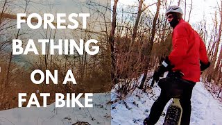 Forest Bathing on a Fat Bike!