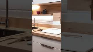 Scandinavian modular kitchen design