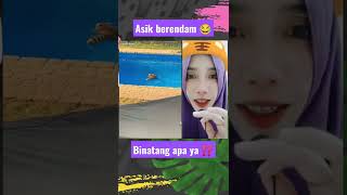 penampakan binatang berendam ⁉️asik banget nih kayaknya 😂#shorts #viral #binatang