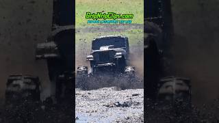 When she's hungry, SHE EATS! #GripNripClips #mudbog #trucks #mudding #mudtrucks