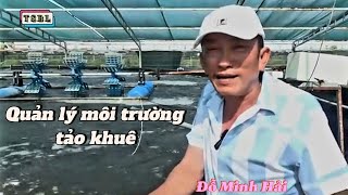 Quản lý môi trường nước bằng vi sinh nhân sinh khối