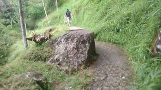 Perjalanan ke Pringgodani part 03. Hutan gunung Lawu.