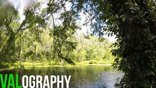 The Florida Springs - Vlog | Valerie Betts