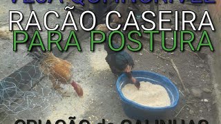 Como fazer ração de postura para galinhas comum e puedeiras? Galinhas bota por mais tempos!