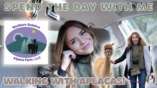 Spend The Day With Me | Northern Solstice Alpaca Farm! | Meet The Family Dogs